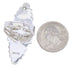 Red Oyster Shell Large Statement PieceRing Size 7-1/4 BW72060